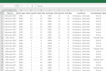 Exported Microsoft Excel report